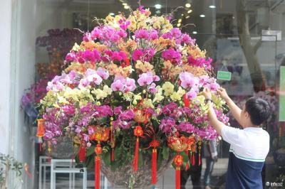  Chia sẻ cách chọn hoa ngày tết rước tài lộc vào nhà - Hoa Tết 2019