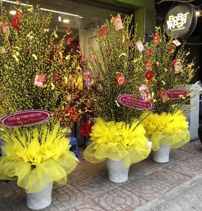 Hình ảnh chợ hoa tết quận Tân Bình đón Xuân Kỷ Hợi 2019