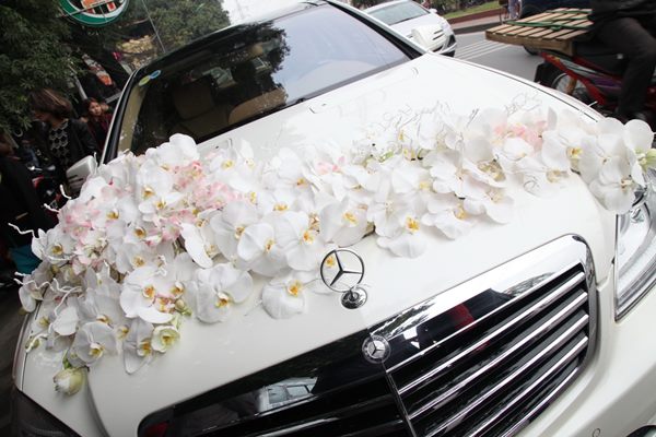 Hoa lan mang đến cảm giác thanh lịch cho xe hoa cưới