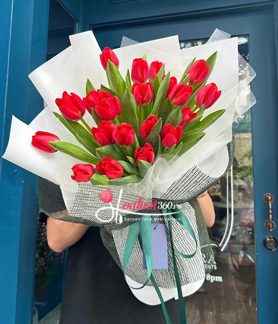 Bó hoa tulip đỏ thể hiện sự kiêu sa