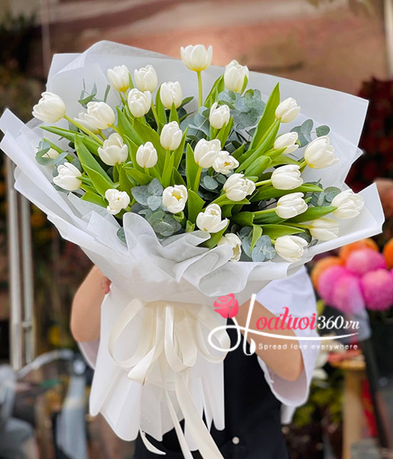 Bó hoa tulip trắng thể hiện sự tinh khiết