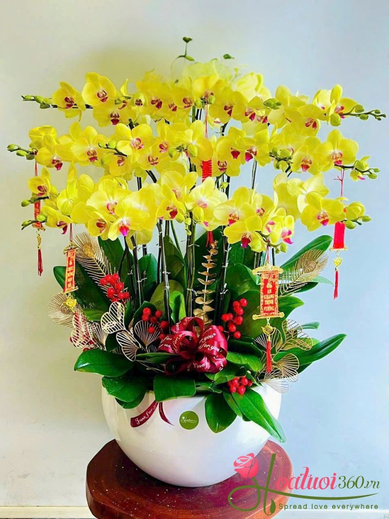 Chậu lan vàng khai trương Phú Quý Sum Vầy