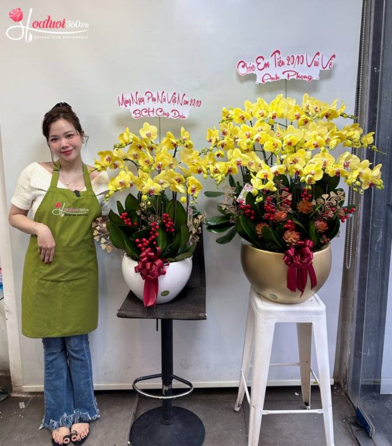 Chậu lan vàng khai trương Thời Hoàng Kim