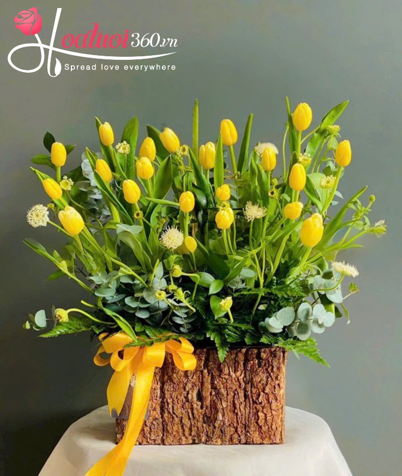 Lẵng hoa khai trương tone vàng Lời Chúc Vàng