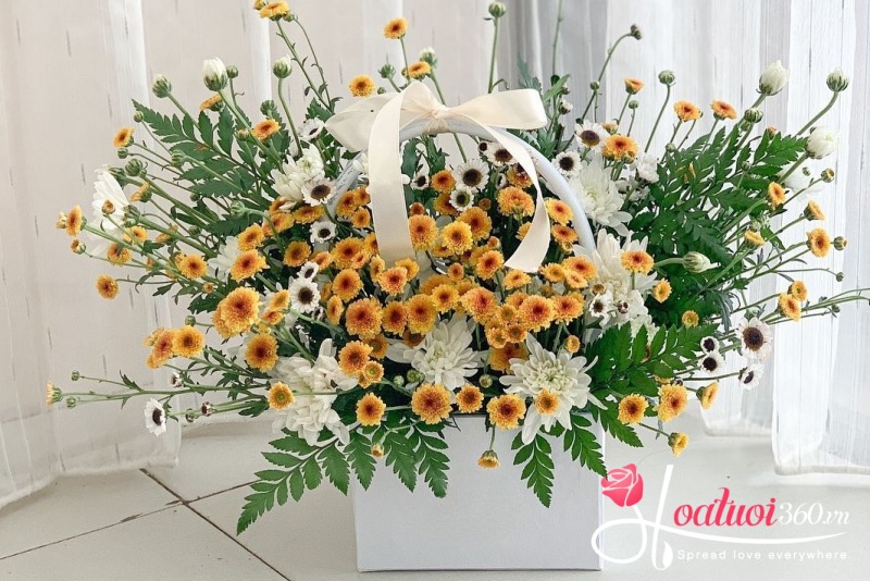 Giỏ cúc calimero vàng mừng khai trương