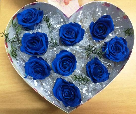 Hộp hoa hồng xanh trái tim dành tặng nàng