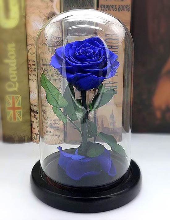 Hoa hồng xanh bất tử