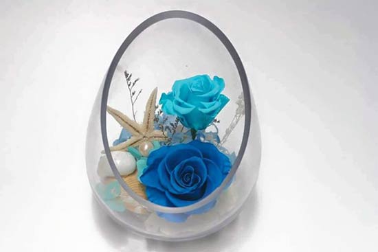 Hoa hồng xanh để bàn tuyệt đẹp