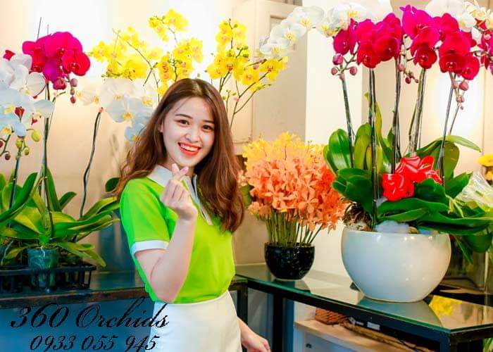 shop hoa đẹp Nha Trang Khánh Hòa