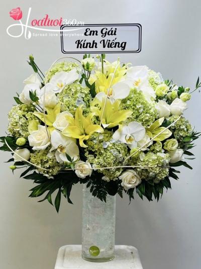 BHVDT - Hoa của trời