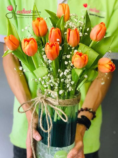 Bình hoa Tulip cam - Toả nắng
