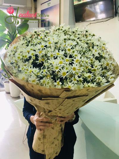 Bó hoa cúc họa mi- Nồng nàn Hà Nội