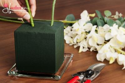 Cách cắm lan hồ điệp 9 cành đẹp, hợp phong thuỷ