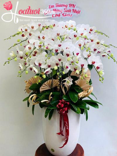 Chậu lan hồ điệp trắng - Vững bền tài lộc