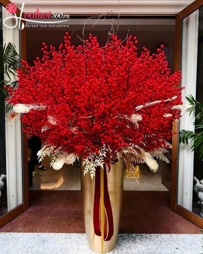 DD - Đón xuân sang