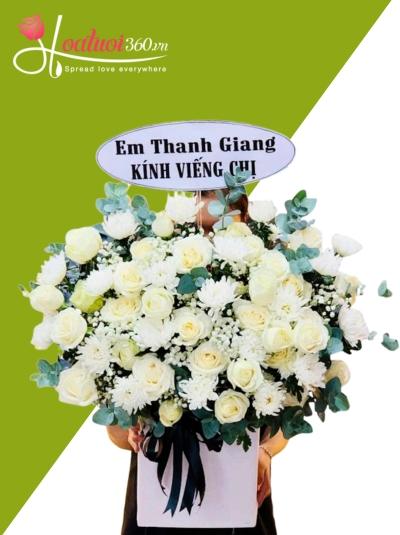 HHVDT - Giấc ngủ yên bình