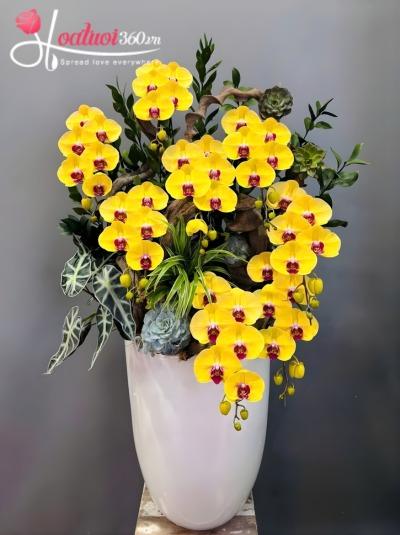 HDV - Lộc xuân như ý