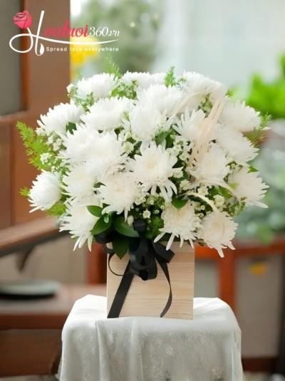 HHVDT - Ký ức còn mãi