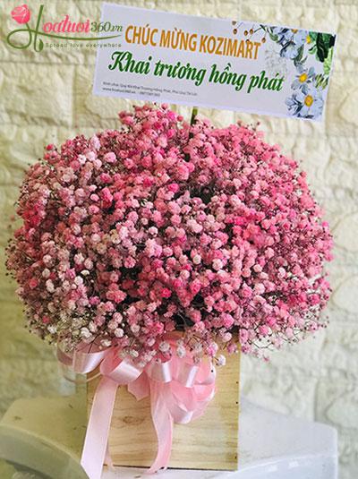 Hoa hộp baby hồng - Yêu nhau bềnh bồng
