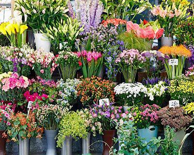 Nơi mua hoa tươi online uy tín - chất lượng