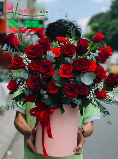 Hộp hoa hồng Ecuador - Bờ bến yêu thương