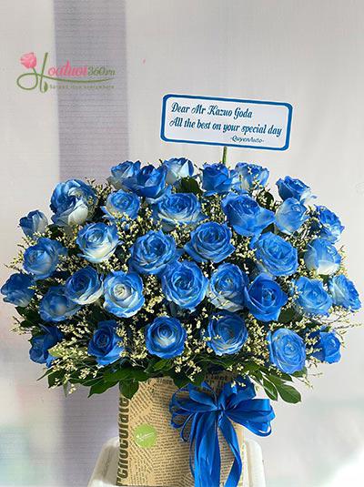 Hộp hoa hồng xanh chúc mừng - Tận hưởng hạnh phúc