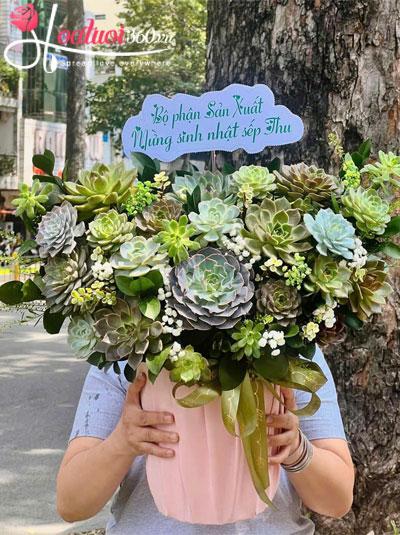 Hộp hoa sen đá - Lộc sắc tươi xanh