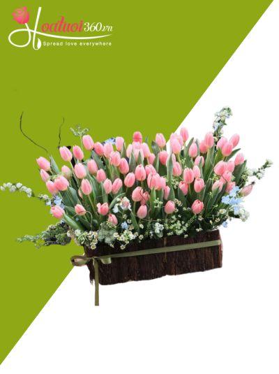 HHT - Lời tình mộc mạc