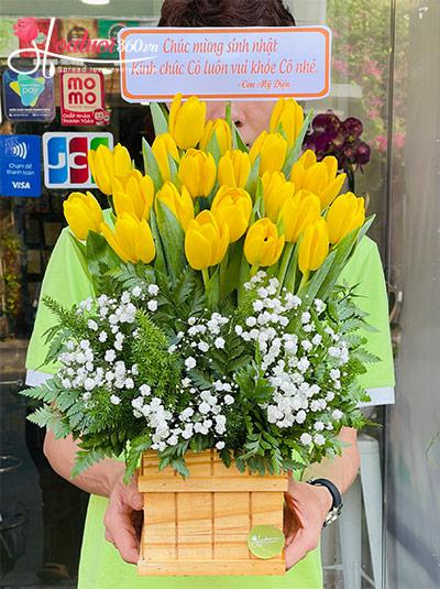 Hộp hoa tulip vàng - Thời kỳ hoàng kim