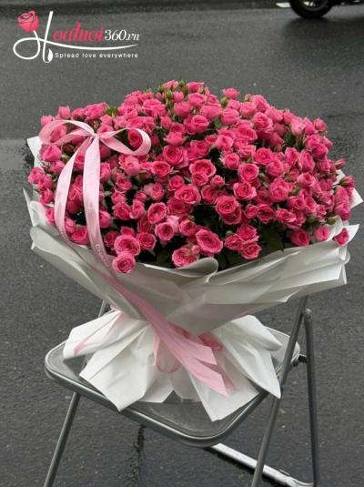 HSN - Giấc mơ tuổi đôi mươi