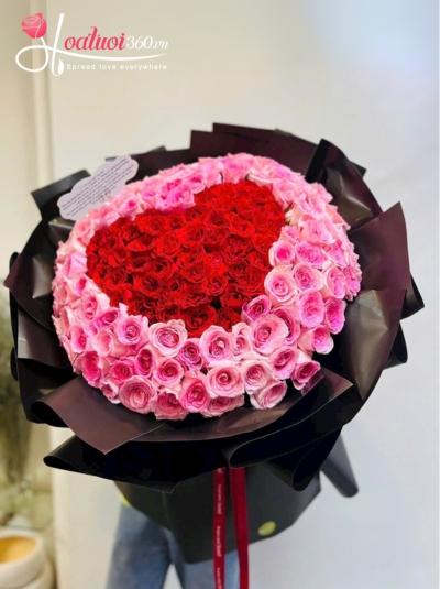 HSN - Nhịp đập con tim