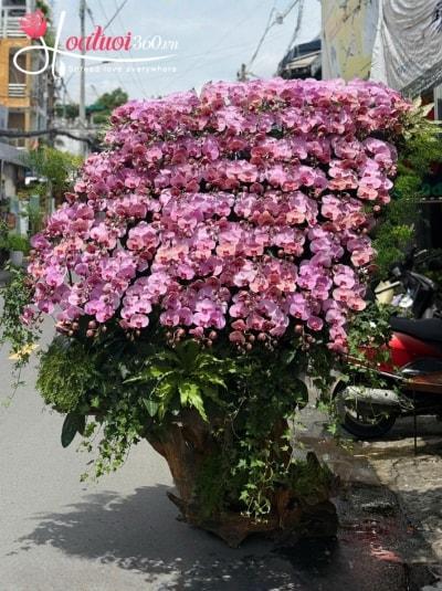 LHDGL - Đại cát đại lợi