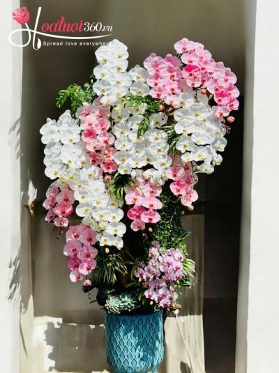 LHDGL - Song hỷ lâm môn