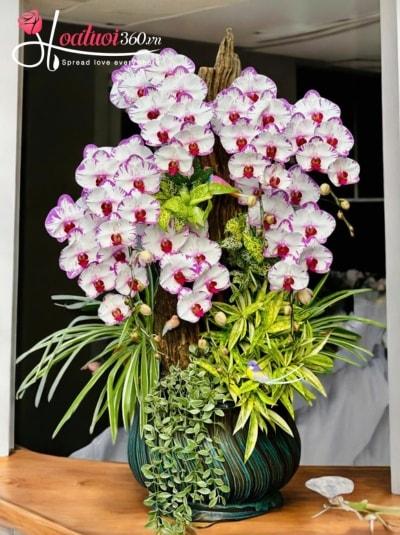 LHDGL - Sóng xanh tài vượn