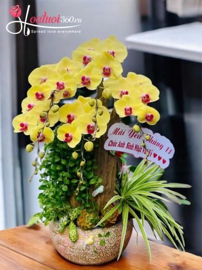 LHDGL - Vượng khí sinh tài