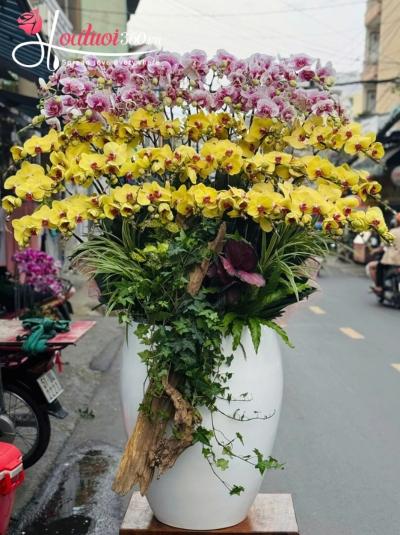 LHDKH - Song hỷ hoàng kim