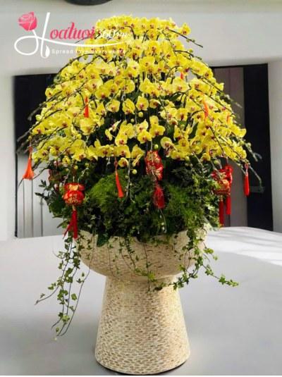 LHDT - Khúc giao thừa