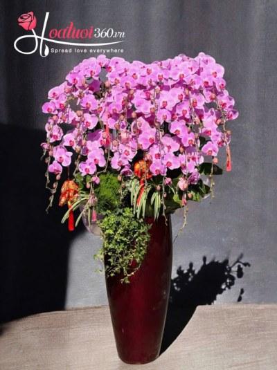 LHDT - Phú quý nghênh tân