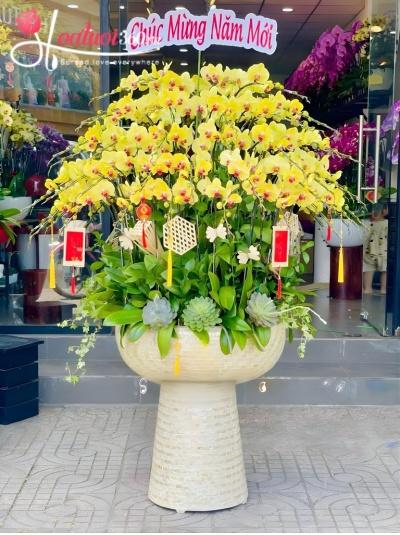 LHDV - Vui xuân ngày mới