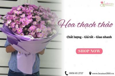 Mua hoa thạch thảo giá rẻ nhất ở shop nào?