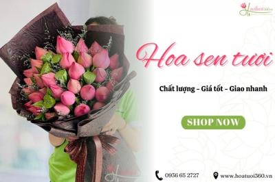 Shop hoa sen giá rẻ tại TPHCM