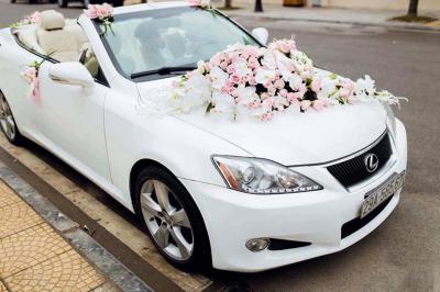 TOP 7 loại hoa trang trí xe hoa cưới phổ biến mà cô dâu chú rể nên biết