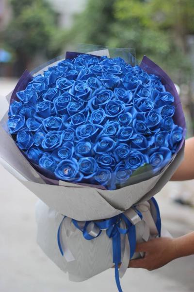 101 hoa hồng xanh - Yêu em vô cùng