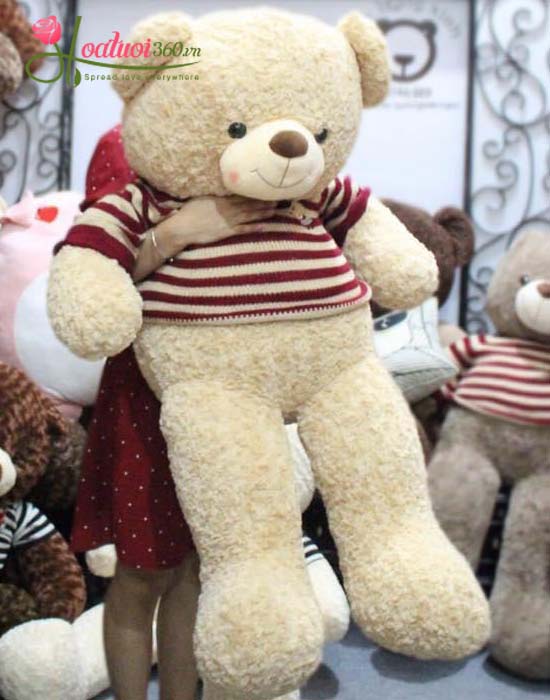 Gấu bông Teddy lớn tại Hoa tươi 360