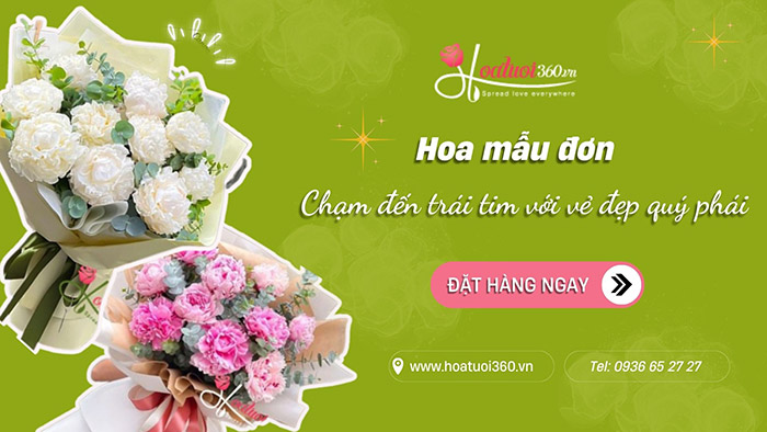 Những bó hoa mẫu đơn đẹp tại Hoa tươi 360