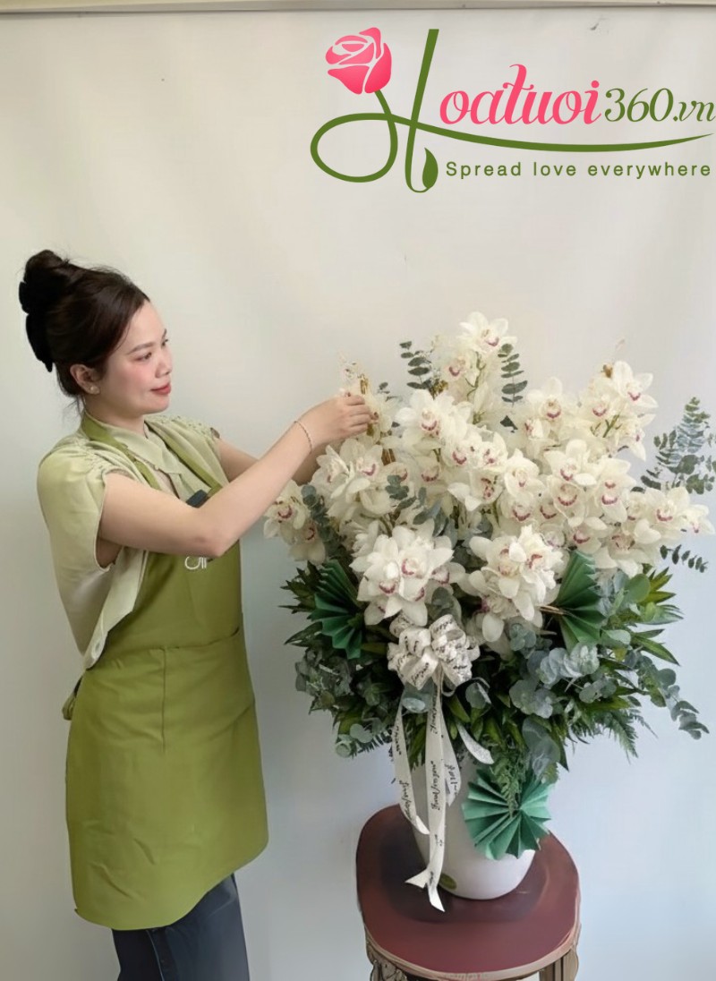 Cách chăm sóc cây địa lan trắng