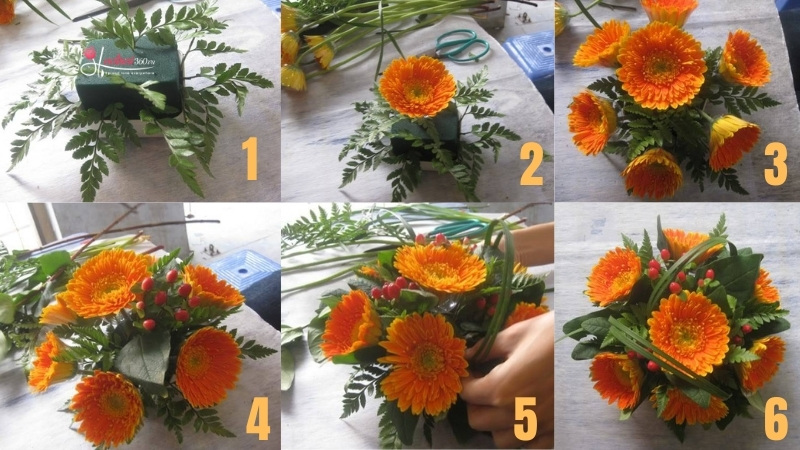 Cách cắm hoa đồng tiền đơn giản mà đẹp