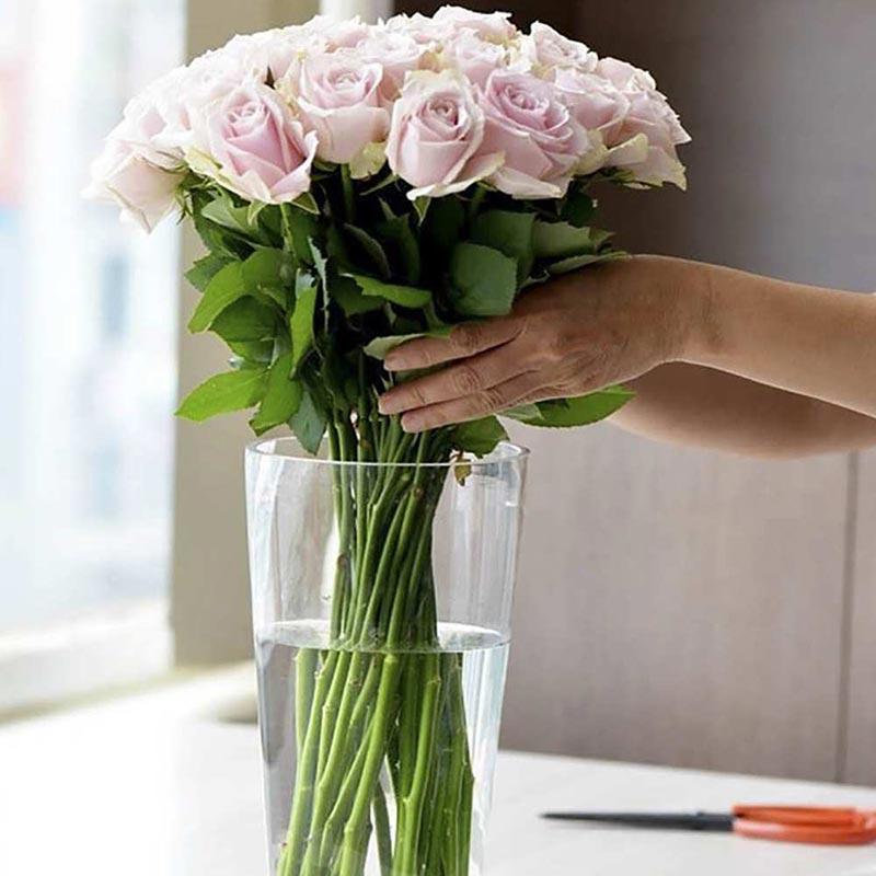 Cách giữ cho hoa tặng sinh nhật mẹ luôn tươi lâu