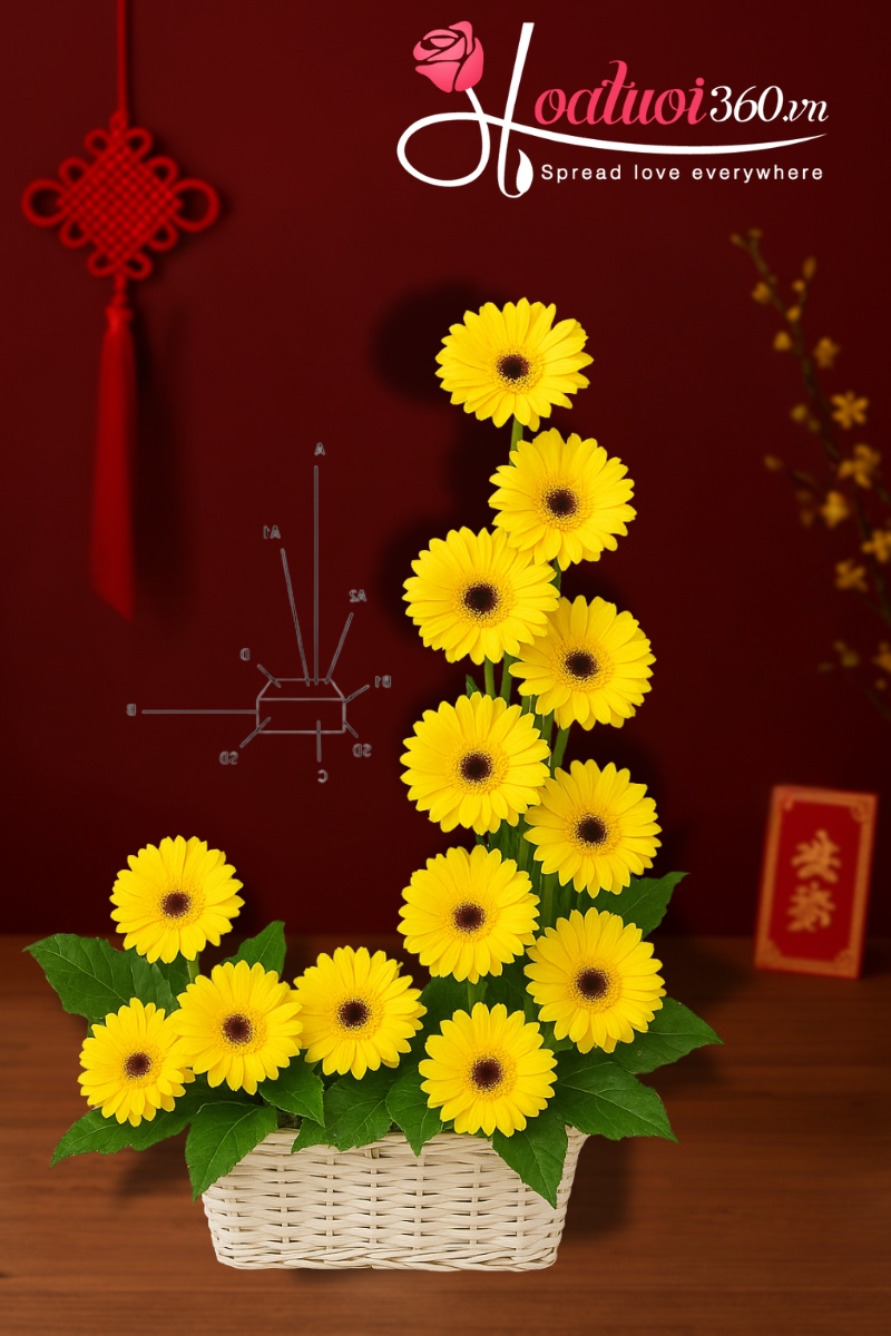 cách cắm hoa đồng tiền đẹp ngày tết