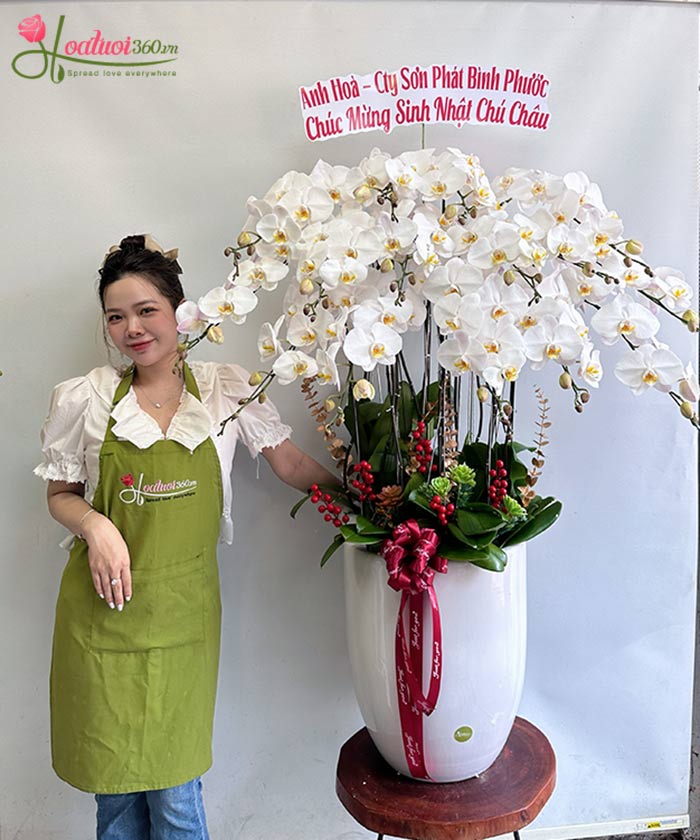 Chậu hoa lan trắng ý nghĩa tượng trưng cho vẻ đẹp hoàn mỹ